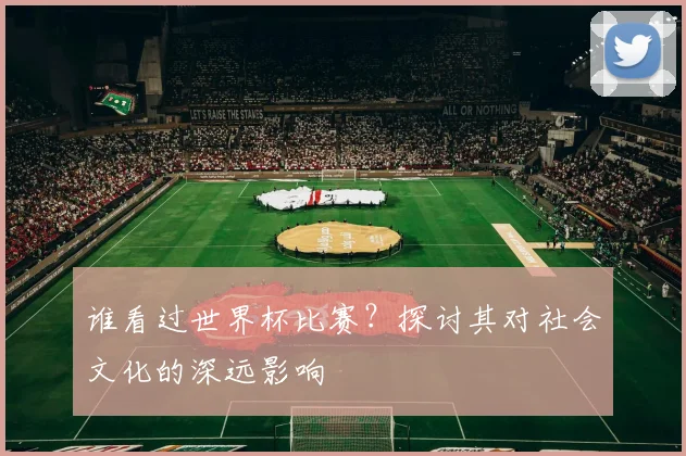 谁看过世界杯比赛？探讨其对社会文化的深远影响