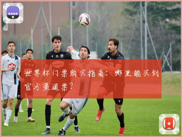 世界杯门票购买指南：哪里能买到官方渠道票？
