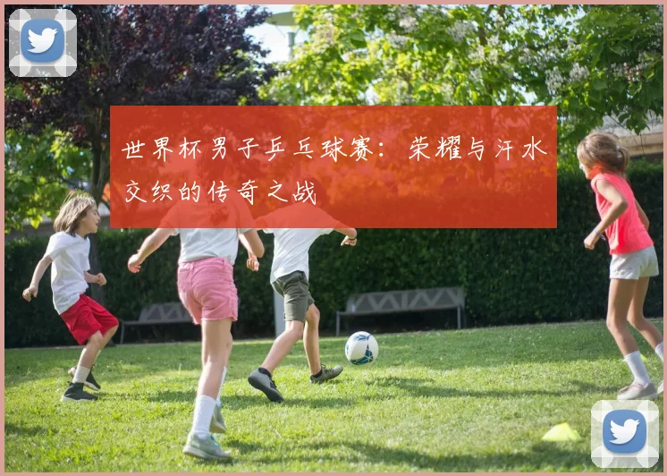 世界杯男子乒乓球赛:荣耀与汗水交织的传奇之战