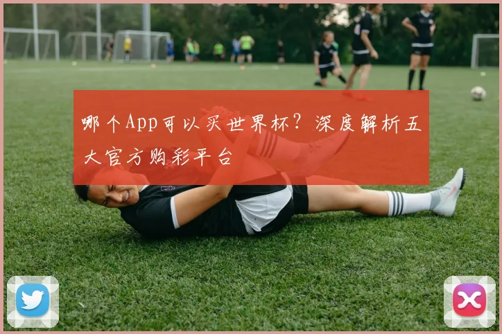 哪个App可以买世界杯？深度解析五大官方购彩平台