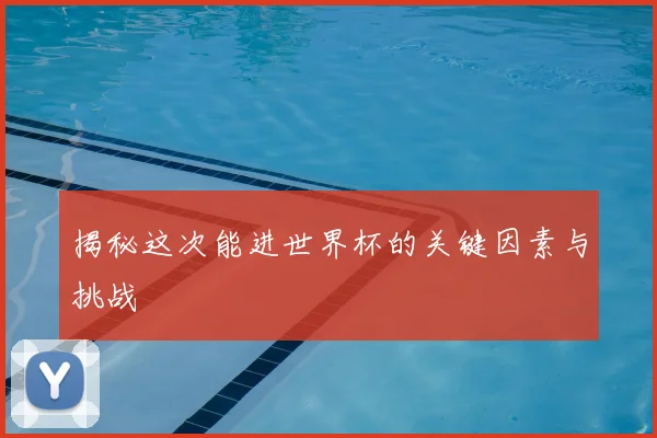 揭秘这次能进世界杯的关键因素与挑战