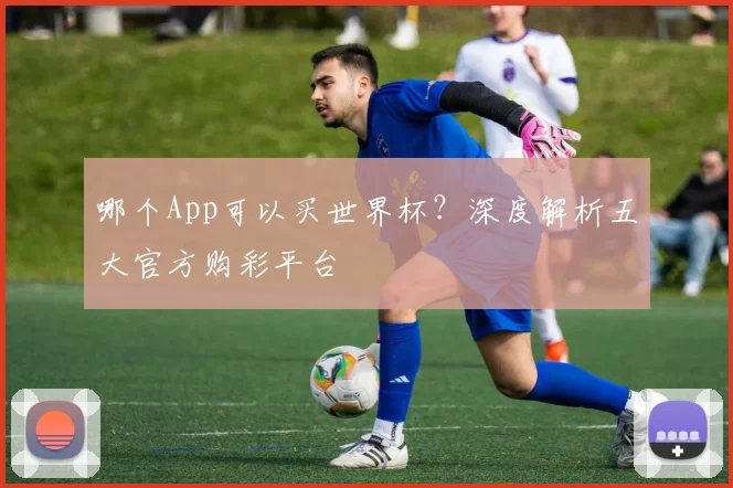 哪个App可以买世界杯？深度解析五大官方购彩平台