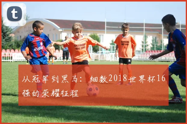 从冠军到黑马：细数2018世界杯16强的荣耀征程
